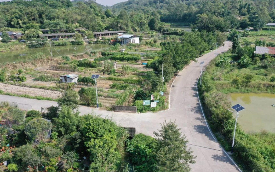 廣東江門鶴山市雅瑤鎮實現道路亮化全覆蓋---豐朗光電